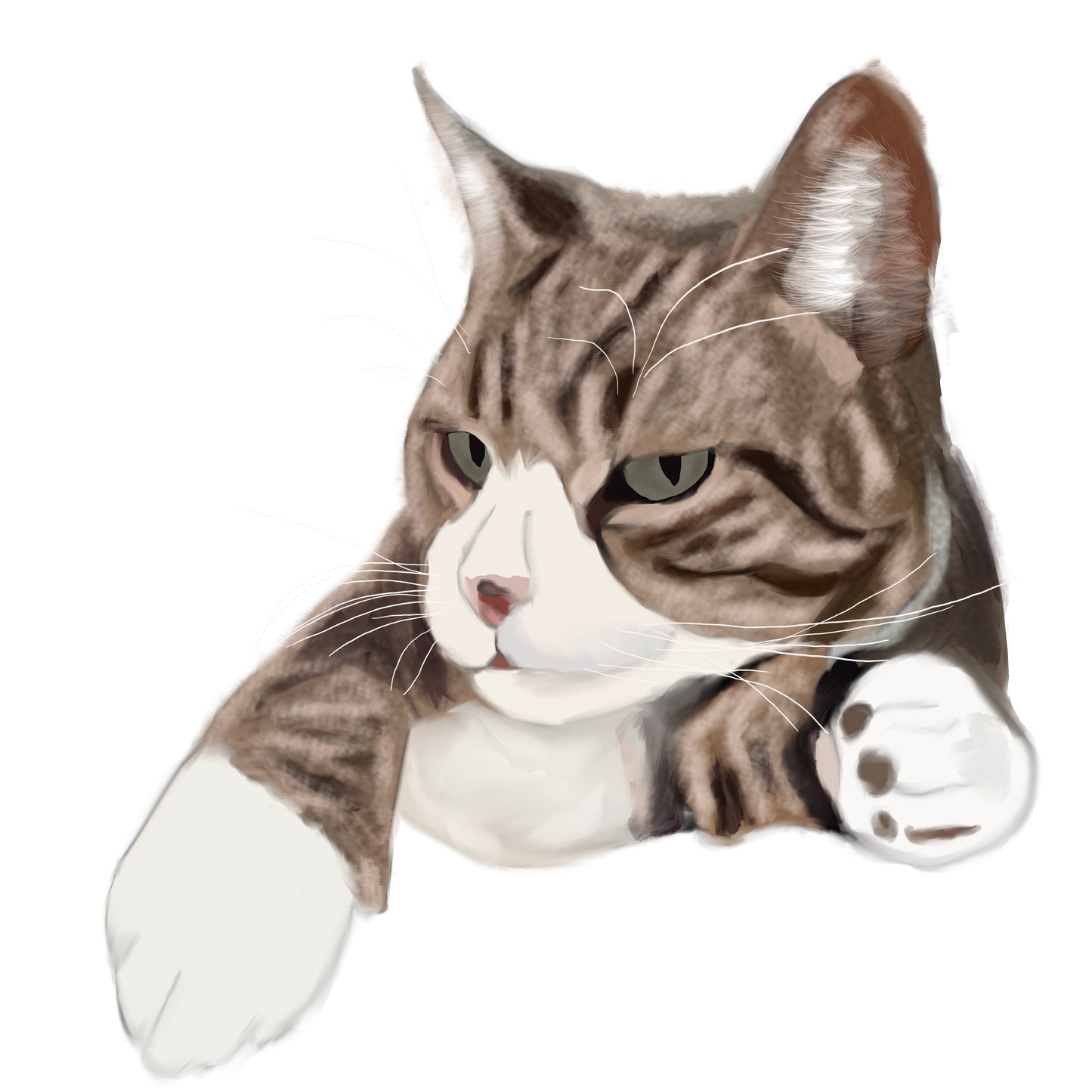 Custom Pawtrait