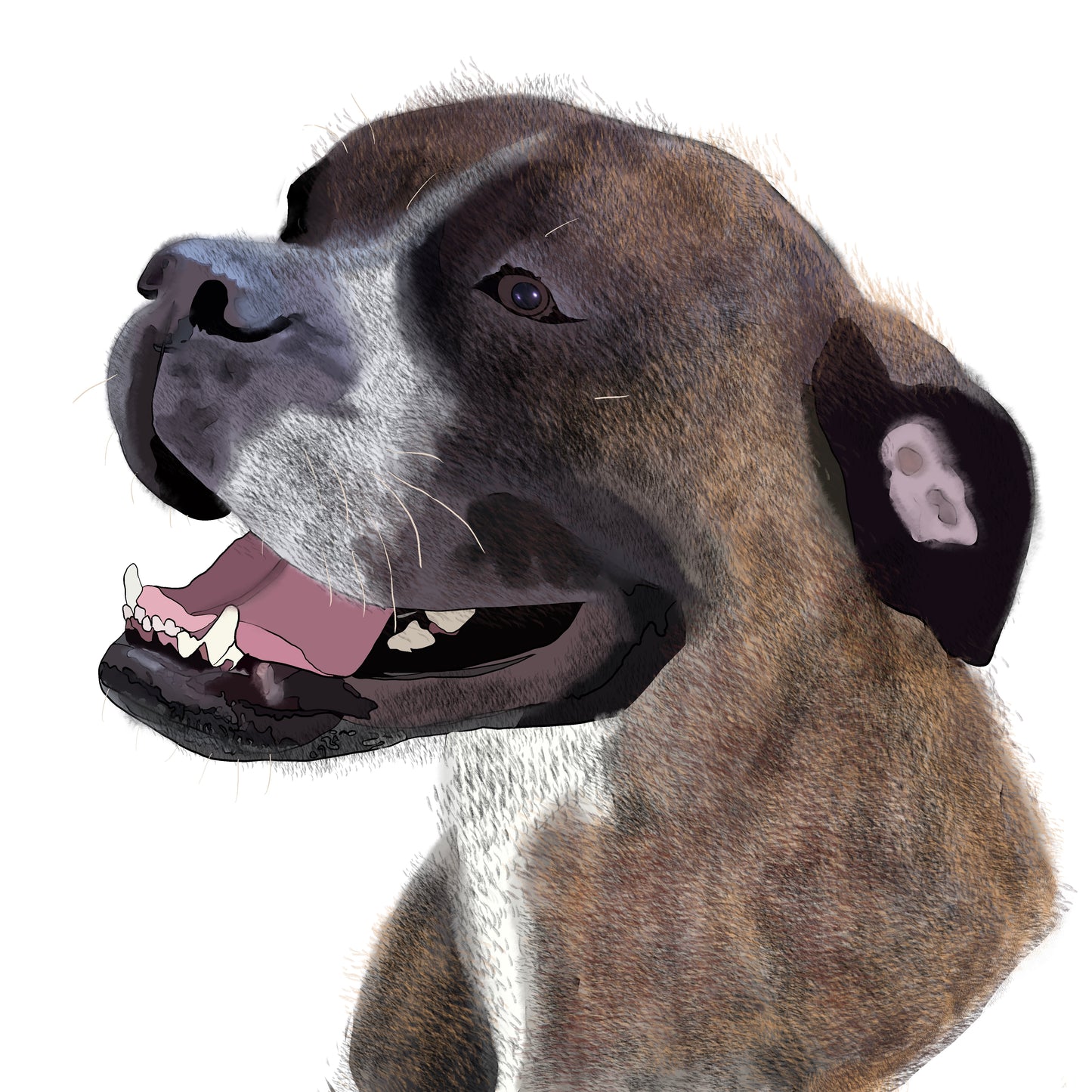 Custom Pawtrait